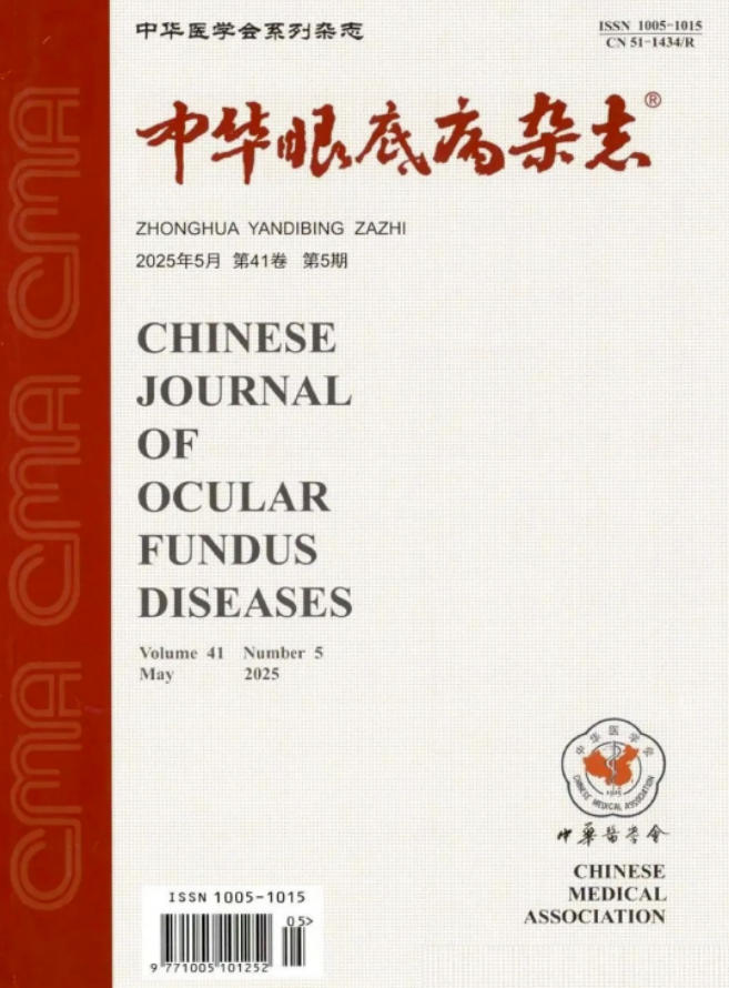 中华眼底病