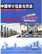 中国审计信息与方法