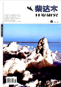 柴达木开发研究