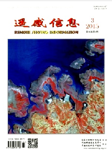 遥感信息