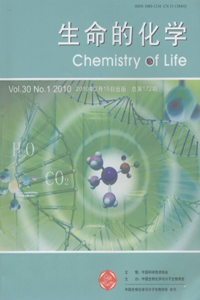生命的化学