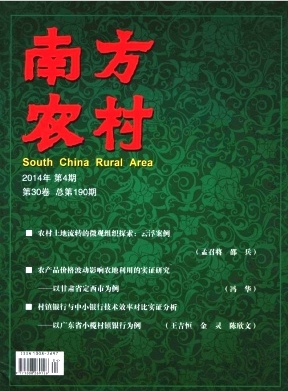 南方农村