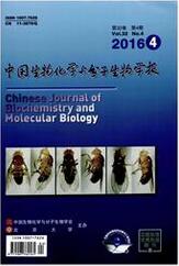 中国生物化学与分子生物学报