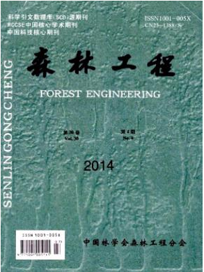 森林工程