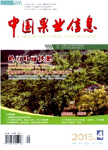 中国果业信息