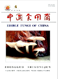中国食用菌