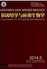 基因组学与应用生物学