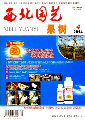 西北园艺(果树专刊)