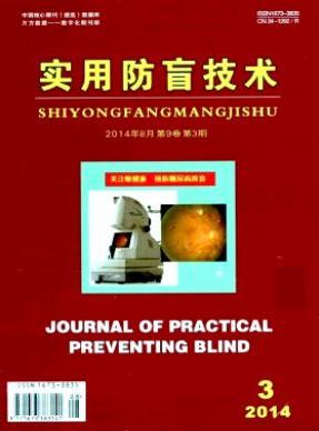 实用防盲技术