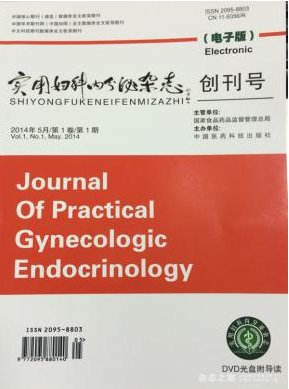 实用妇科内分泌