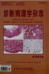 诊断病理学杂志