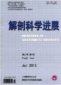 解剖科学进展