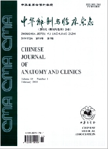 中华解剖与临床杂志