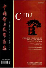 中国骨与关节杂志
