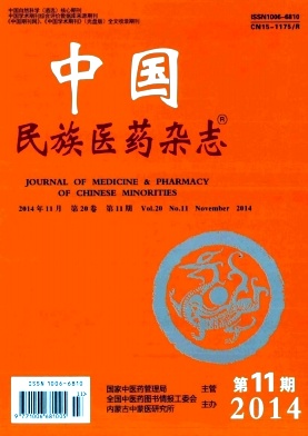 中国民族医药杂志