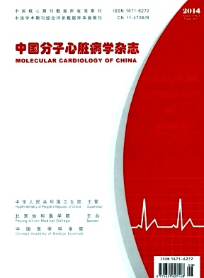 中国分子心脏病学杂志