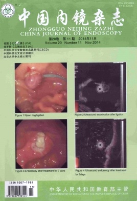 中国内镜杂志